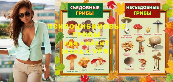 стаф Балахна